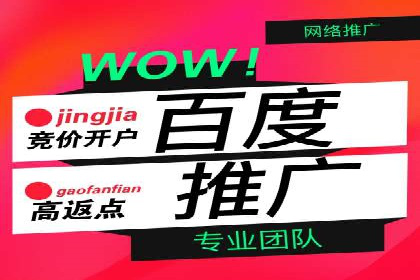 百度竞价之行业差异化的成功案例探讨